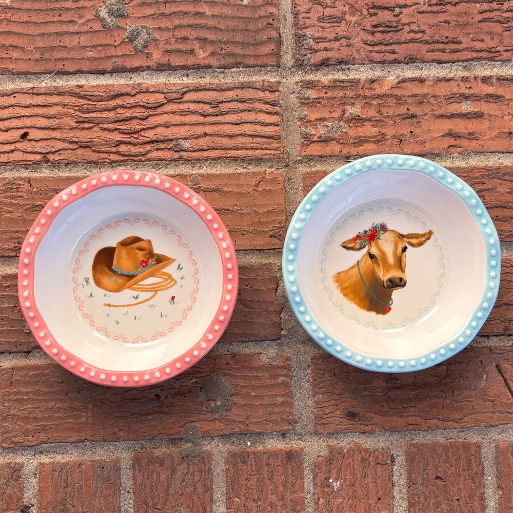 Set of 2 Pioneer Woman Pink & Blue Gingham Cow & Hat Individual Pie Plates 4.75”